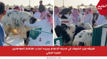 طريقة وزن الخروف في مدينة الأنعام ببريدة تجذب اهتمام المواطنين للمرة الأولى